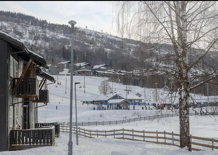 Friends & Family Apartment At Hafjell Alpinlandsby/Oyer Center
