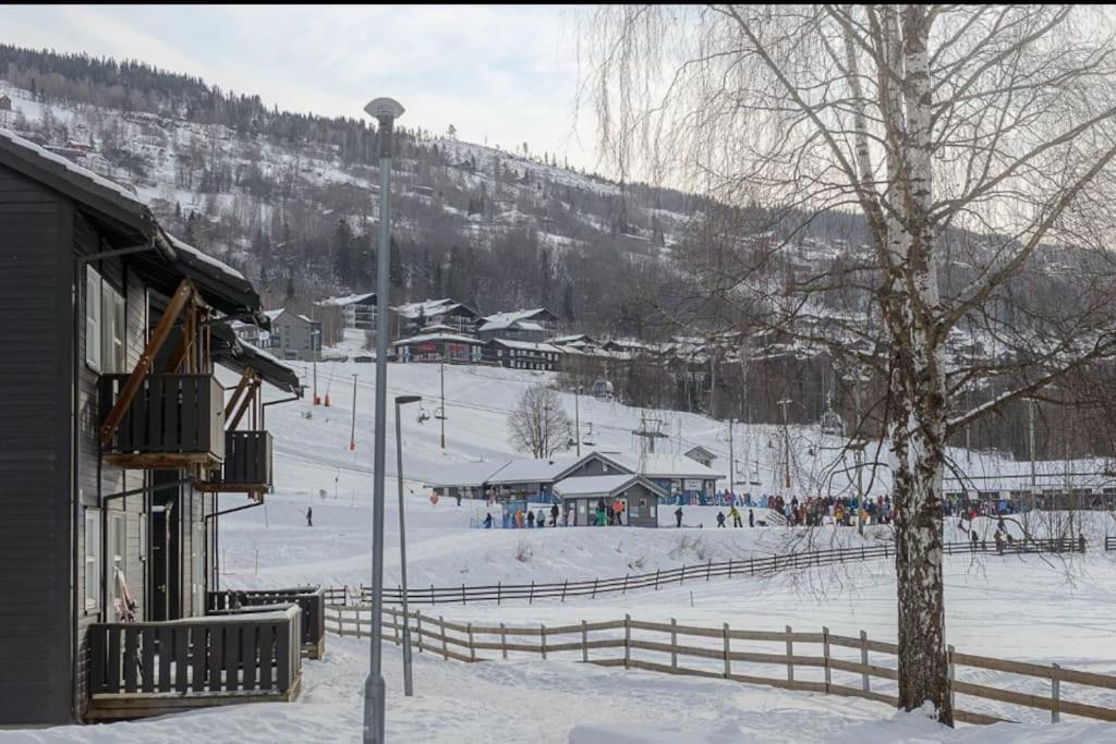 Friends & Family At Alpinlandsby/oyer Center Hafjell