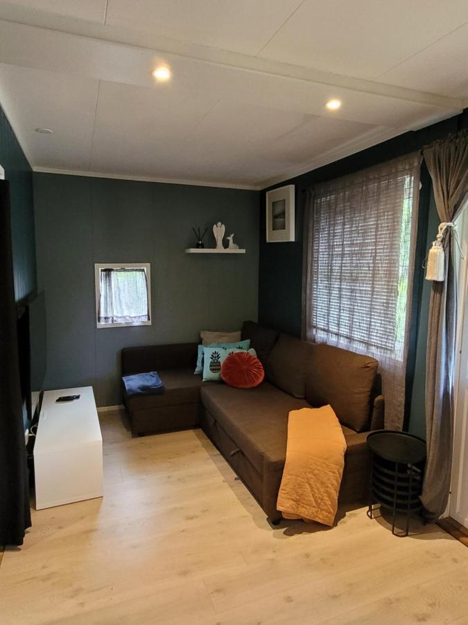 Friends & Family At Alpinlandsby/oyer Center Apartment Hafjell
