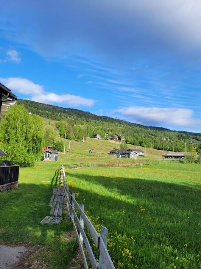 Apartment Friends & Family At Alpinlandsby/oyer Center Hafjell